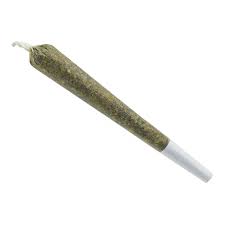 6990936-spinach_blue_dream_